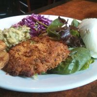 One of their specials at Bonnington Cafe in South West London