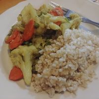 Tarkari and brown rice delicious! at Himal Chuli in Madison