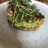 avocado toast with mushrooms  at The Urban Garden in Vilnius