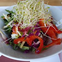 Starter: salad, so fresh and with sprouts at Vegehop in Zagreb