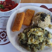 Meal of the Day at Vegehop in Zagreb