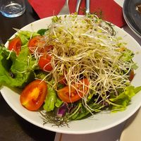  at Vegehop in Zagreb