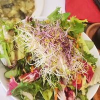 Salad at Vegehop in Zagreb