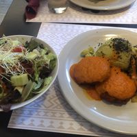 My daily menu meal of cutlets and the side salad  at Vegehop in Zagreb