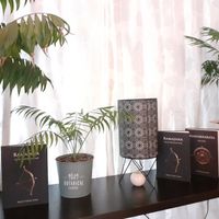  at Vegehop in Zagreb