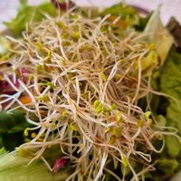  at Vegehop in Zagreb