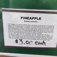 Fresh fruit they sold at Frosty Mango in Mutarnee