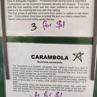 Fresh fruit they sold at Frosty Mango in Mutarnee