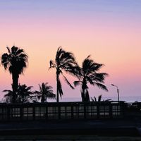 Sunset from the rooftop   at Mi Casa Thai Food in Trujillo