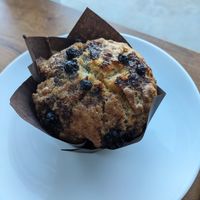 Vegan blueberry muffin at Tempest Coffee Collective in Appleton
