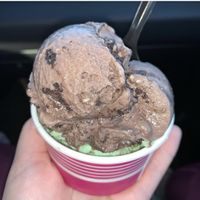 Chocolate Oreo and pistachio  at Ice Cream Social in Commack