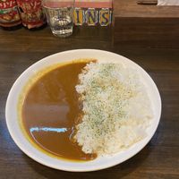 vegan curry  at Yakumido Curry & Rice in Osaka