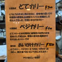 menu (second one is vegan)  at Yakumido Curry & Rice in Osaka