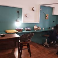   at Crazy Cat Café in Milan