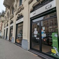  at Crazy Cat Café in Milan