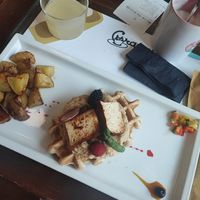  at Crazy Cat Café in Milan