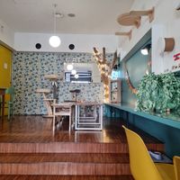 Inside tables at Crazy Cat Café in Milan