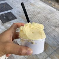 Vegan fig + mandarin/ginger ice coppetta  at Gelateria Pescara La Fonte in Pescara