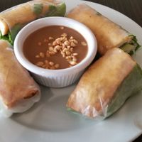 Tofu spring rolls with peanut sauce at Sprout's Springroll & Pho in Arlington