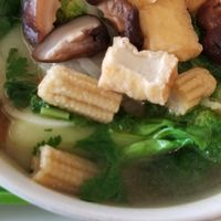 Veggie & tofu pho with rice noodles at Sprout's Springroll & Pho in Arlington