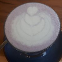 purple sweet potato latte with soy milk at Rustle & Still in Toronto