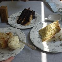 salted caramel cake, apple tart with clotted cream, orange and pistachio sponge at Teacup Tearoom in Mevagissey