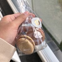 macarons #Veganuary at Isabella Glutenfreie Patisserie - Kö Galerie in Dusseldorf