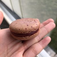 raspberry #Veganuary at Isabella Glutenfreie Patisserie - Kö Galerie in Dusseldorf