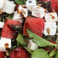   at Kaap Noord in De Cocksdorp