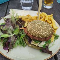  at Kaap Noord in De Cocksdorp