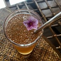 Kombucha with chia seeds at Zen Vegan Cafe - 是好日 in Hikone