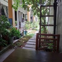  at Annen Vegetarian & Yoga in Da Nang