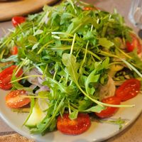 Side Salad at Hangin' Pizzeria in Betws-y-coed