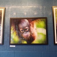 . at Hangin' Pizzeria in Betws-y-coed