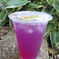 Butterfly pea tea lemonade at Thai Lanna in Canton