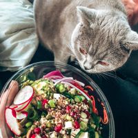 Beste pokebowls of antwerp! at Poke Tiki in Antwerpen