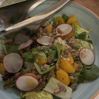 Started Salad  at Walt Disney World - Sebastian's Bistro in Lake Buena Vista