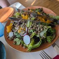  at Walt Disney World - Sebastian's Bistro in Lake Buena Vista