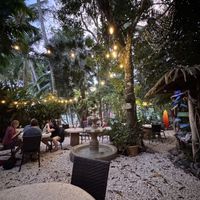   at Sano Banano in Montezuma