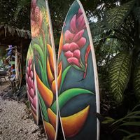   at Sano Banano in Montezuma