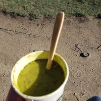 split pea soup that i ate in the park! at Pret A Manger - Trafalgar Square in London