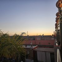 #Veganuary at Koulchi Zine in Marrakech