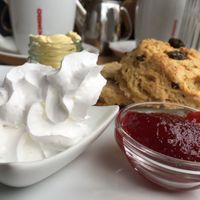 Vegan scone with jam and cream  at Caffè No 3 @ Home in Durham