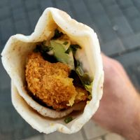  at Vegan Food Revolution in Cologne