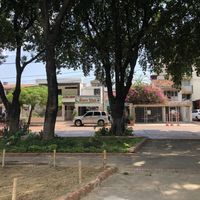 see it through the trees  at Buen Vivir in Cucuta
