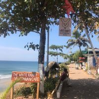 Signs at Holy Rabbit in Varkala