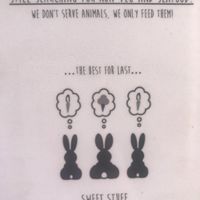 Cute at Holy Rabbit in Varkala