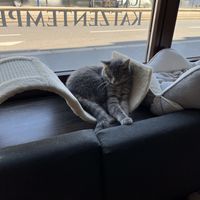   at Katzentempel - Leipzig Ost in Leipzig