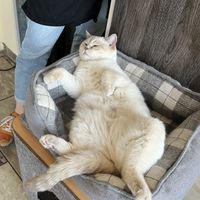   at Katzentempel - Leipzig Ost in Leipzig