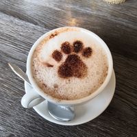  at Katzentempel - Leipzig Ost in Leipzig